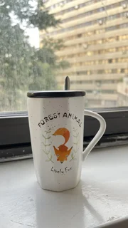 ماگ درب دار